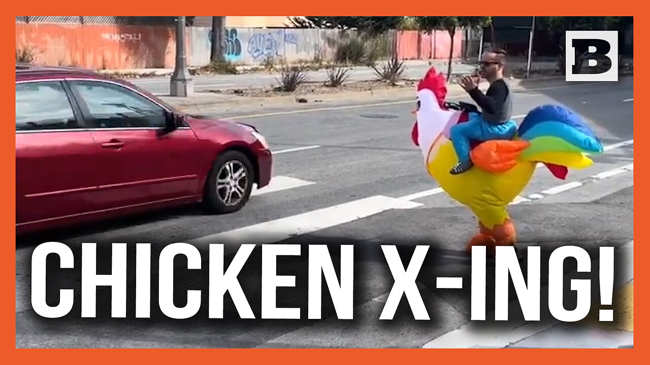 Must Be a San Fran Thing... Officer Dresses as Chicken to Catch Drivers Blazing Past Pedestrians