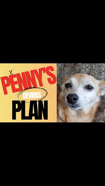 Real Motives EXPOSED!