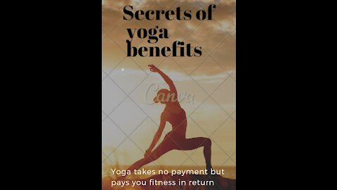 Why Yoga Is Soo Important in our Routine?