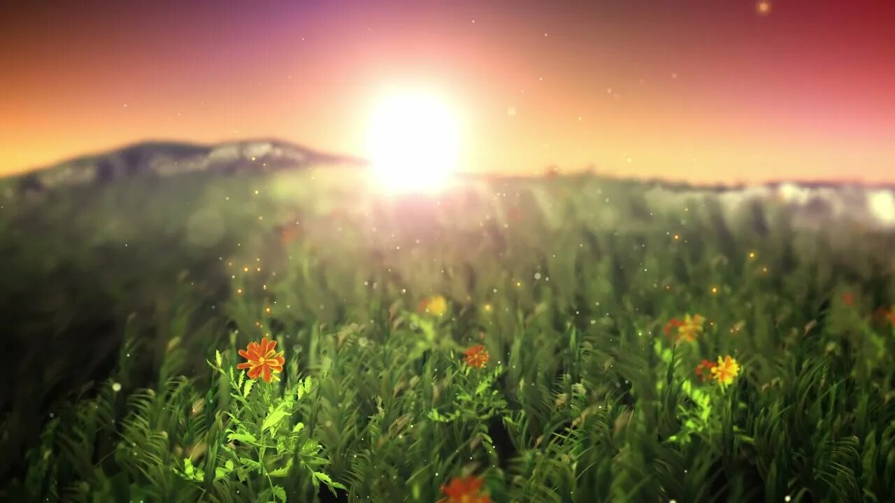 Magical Nature Relaxation: 1 Hour of Calming Music and Sunshine Video for Deep Relaxation