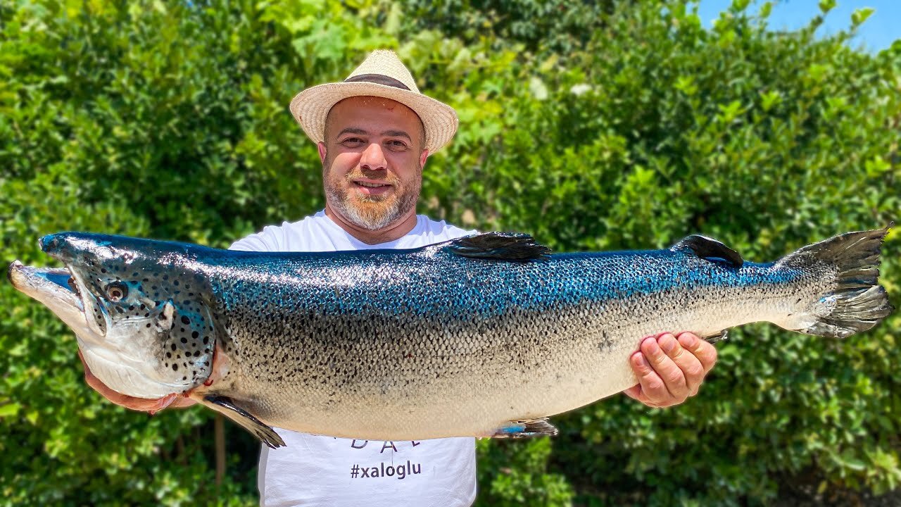 I cooked a huge Atlantic SALMON under a thick layer of SALT on the Fire