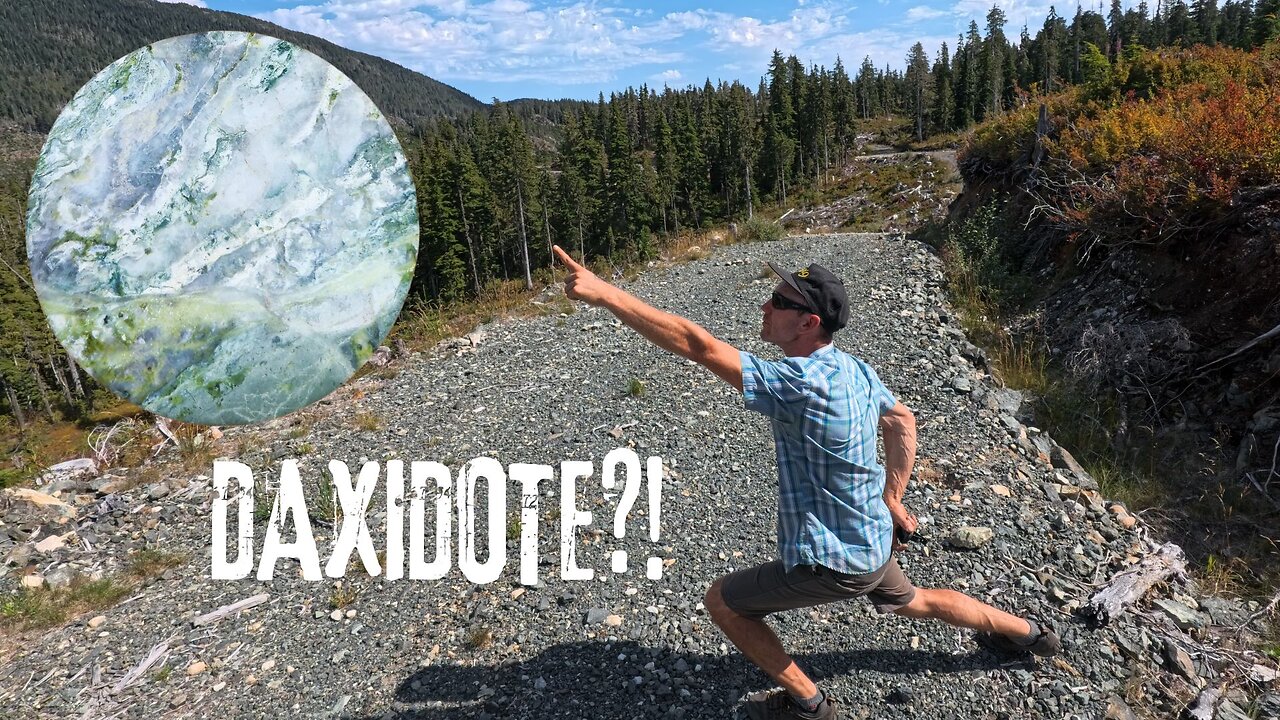 Daxidote - Beautiful Vancouver Island Dallasite Material