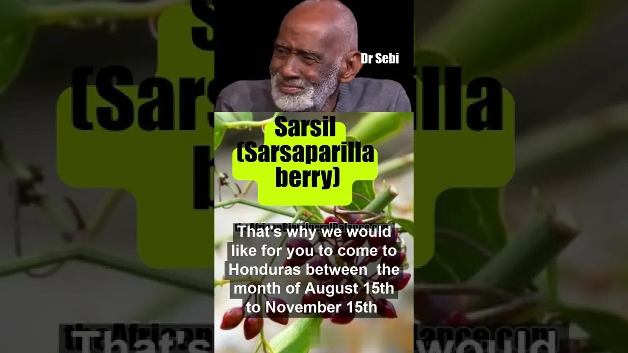 DR SEBI - GREAT SOURCE OF IRON - SARSIL (SARSAPARILLA BERRY) - PT. 2 #shorts #drsebi #irondeficiency