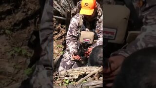 Massive 14 Year Old Black Bear with Huge Claws and Paws!