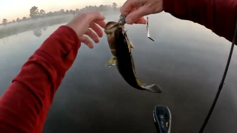 Catching Bass In The Fall On A Louisiana Lake.-8