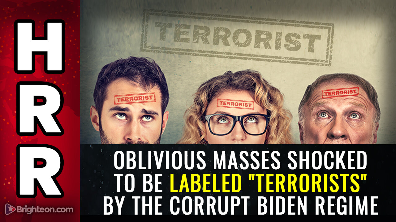 Oblivious masses SHOCKED to be labeled "terrorists" by the corrupt Biden regime