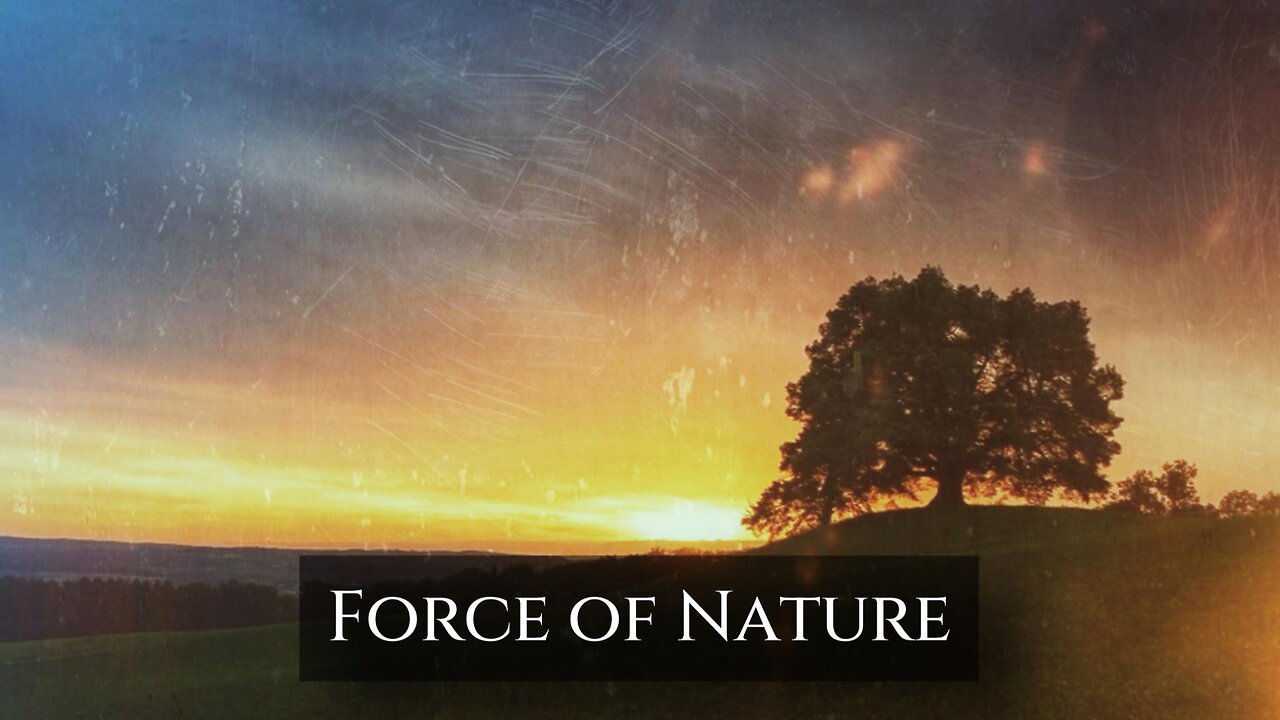 Force of Nature - Bruno Bizarro (Instrumental Piano Music)