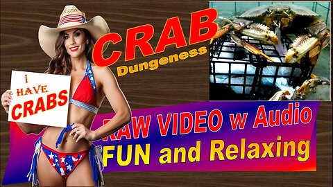 LovingKindWarm Crab Video Underwater Crab Pot Fish Boat ASMR Visual/Audio Fun Oct 25 2024 a/d Raw