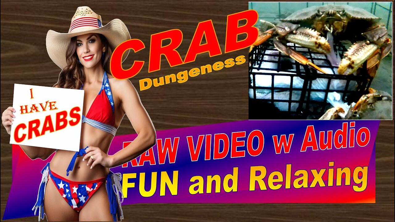 LovingKindWarm Crab Video Underwater Crab Pot Fish Boat ASMR Visual/Audio Fun Oct 25 2024 a/d Raw