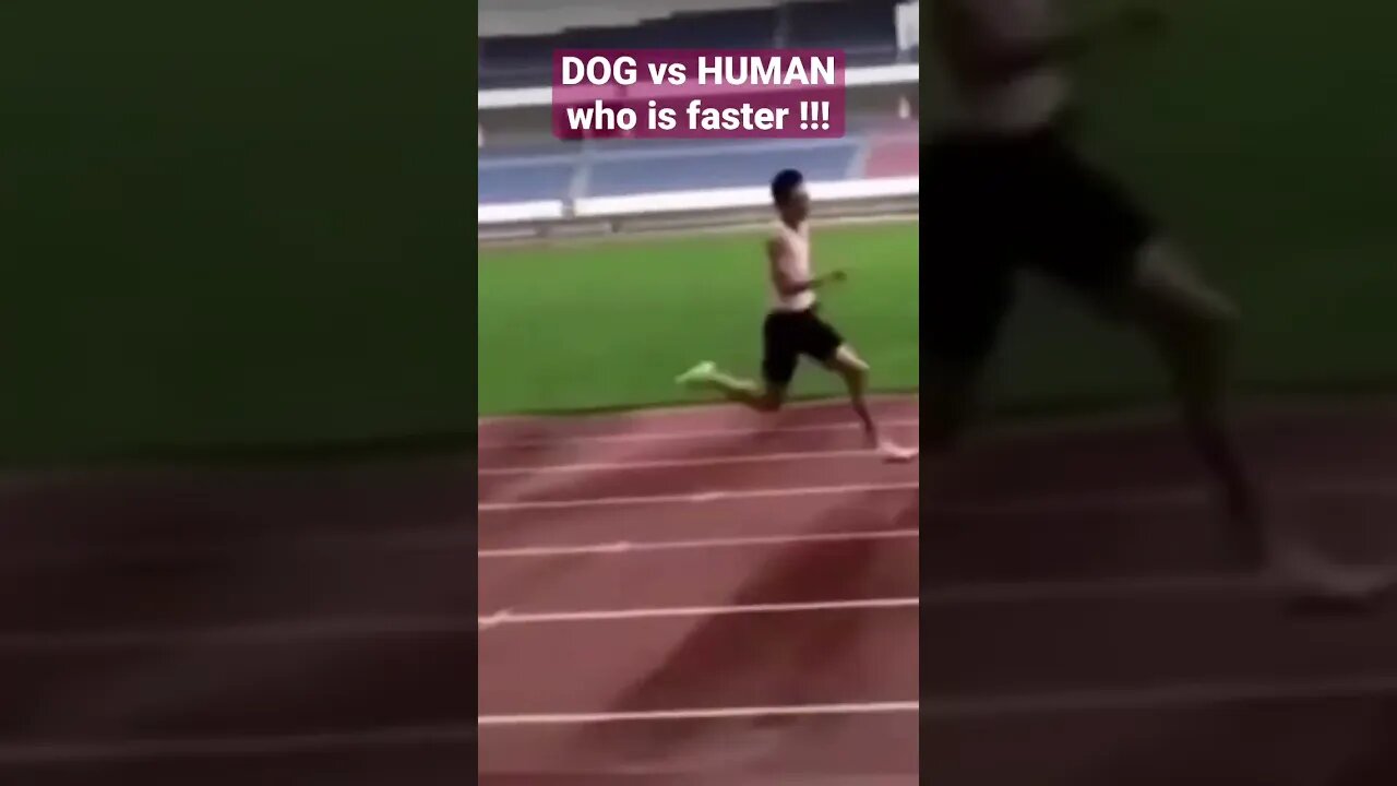 DOG vs HUMAN #short #shorts #dogfunny #running #faster