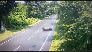 Rhino attacks cargo truck.