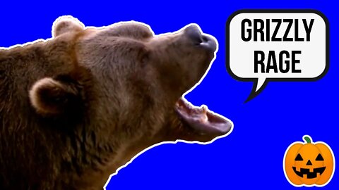 What Happens in Grizzly Rage?