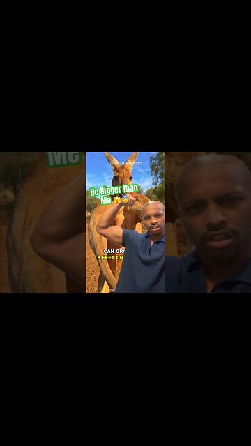 He bigger than me 🫣😨 bra.. this aint right #Get2Steppin w S2