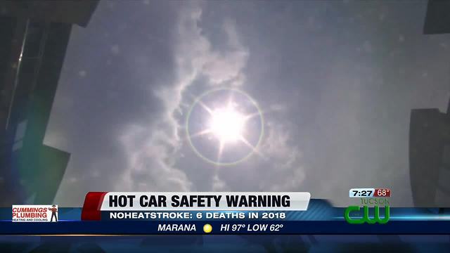 Kids, pets, & hot cars: it's not worth the risk