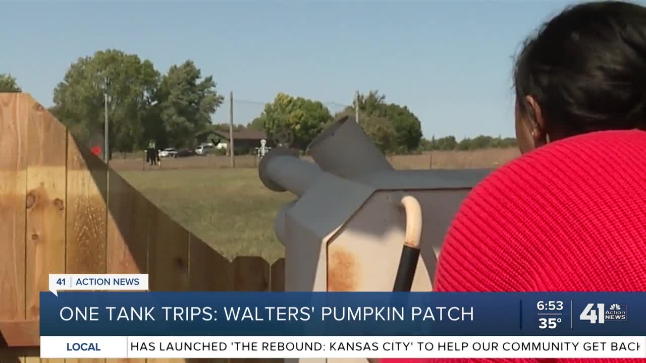 One Tank Trips: Walters' Pumpkin Patch