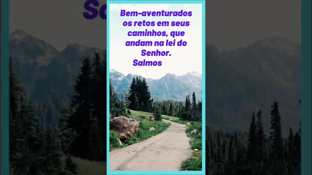 VERSÍCULO DO DIA 05/11/2022#shortsseja
