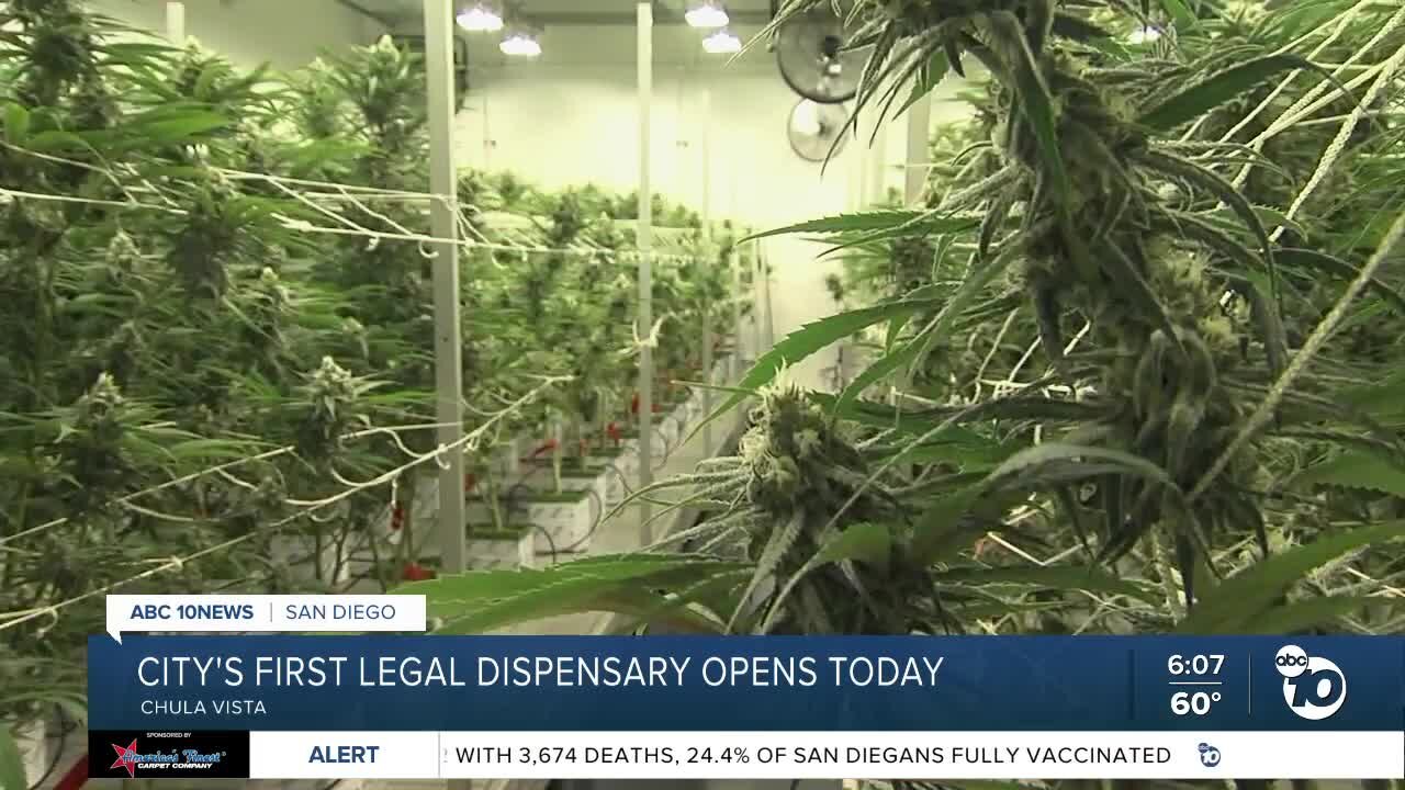 Chula Vista's first legal dispensary opening its doors