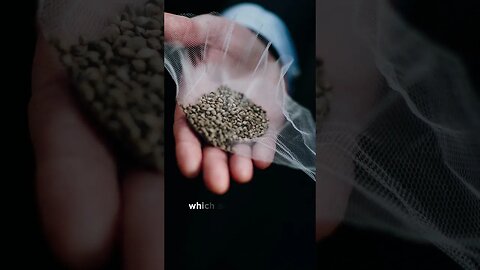 The Secret of Hemp Seeds for your BRAIN