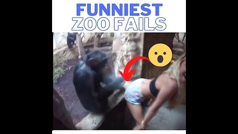 Funniest Fails In The Zoo | Best Fails of 2021!