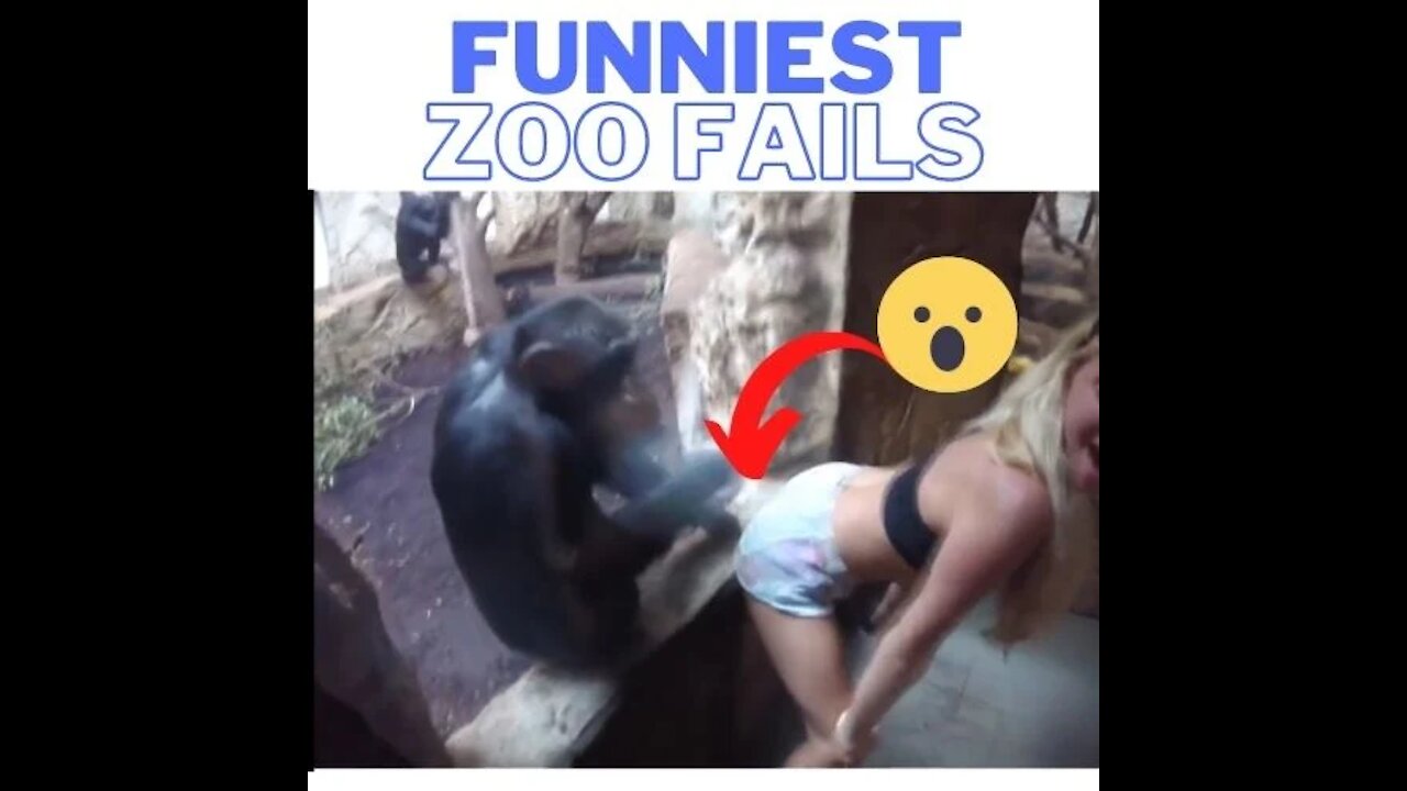 Funniest Fails In The Zoo | Best Fails of 2021!