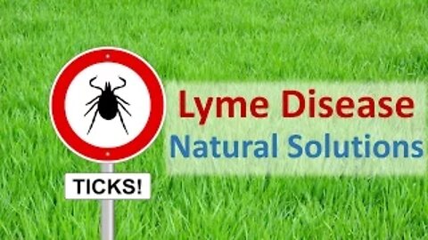 Lyme Disease - Natural Solutions