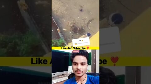 omg very powerful cat dog tiktok trending viral shorts