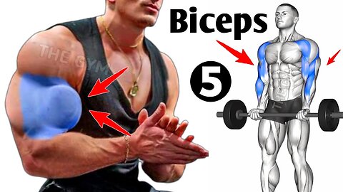 5 Fastest Effective Biceps Workout - Gym Biceps Workout