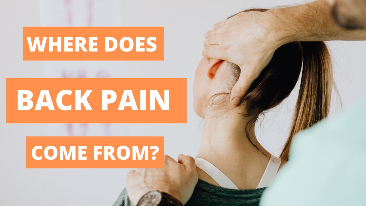 Where Does Back Pain Come From And What To Do A bout It?