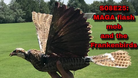 S08E25: MAGA flash mob and the Frankenbirds