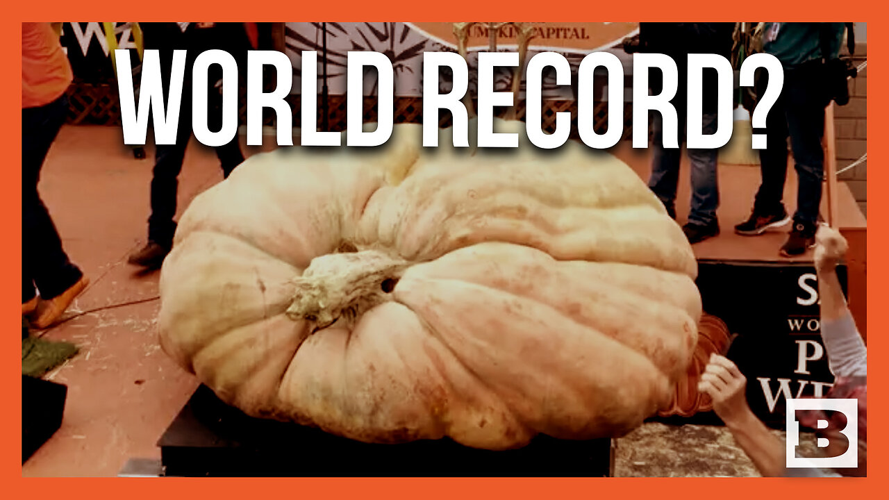 A WORLD RECORD? -- 2,749lb Pumpkin Claimed to Be World's Largest Ever Recorded