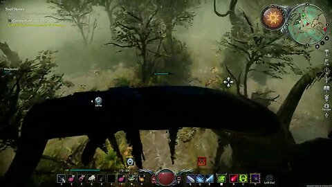 Those Spiders Are Gross