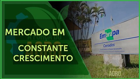 Embrapa tem papel fundamental no desenvolvimento da cevada