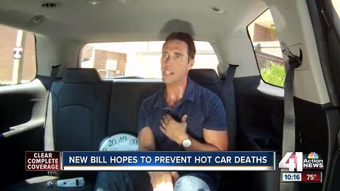 115 degrees in 10 mins: Kids and hot cars