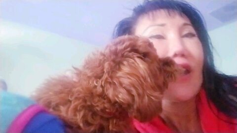 why would the Owner names her dog Sissy?