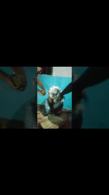 Park sarkar birthday