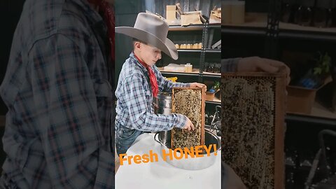 Fresh HONEY! SATISFYING EXTRACTING HONEY 🍯 #cowboys #honey