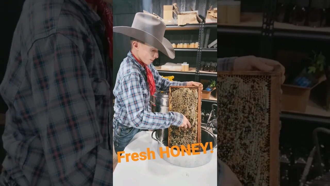 Fresh HONEY! SATISFYING EXTRACTING HONEY 🍯 #cowboys #honey