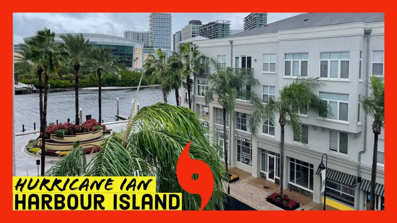 Hurricane Ian Downtown Tampa Live Cam | Harbour Island