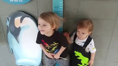 A Lighthearted Video