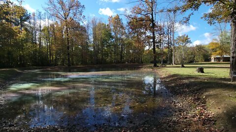 4K Hyperlapse of pond