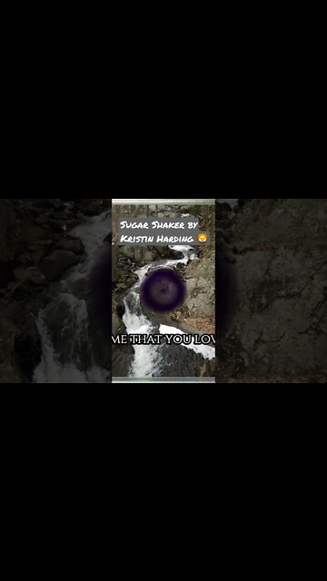 Sugar Shaker by Kristin Harding | The LionsPride Podcast #shorts