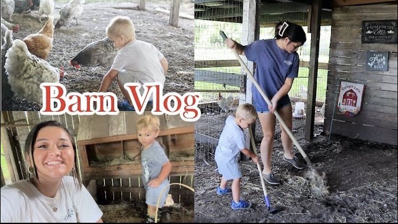 Barn Vlog - Chicken Treat Unboxing, Chicken Coop & Cow Hay