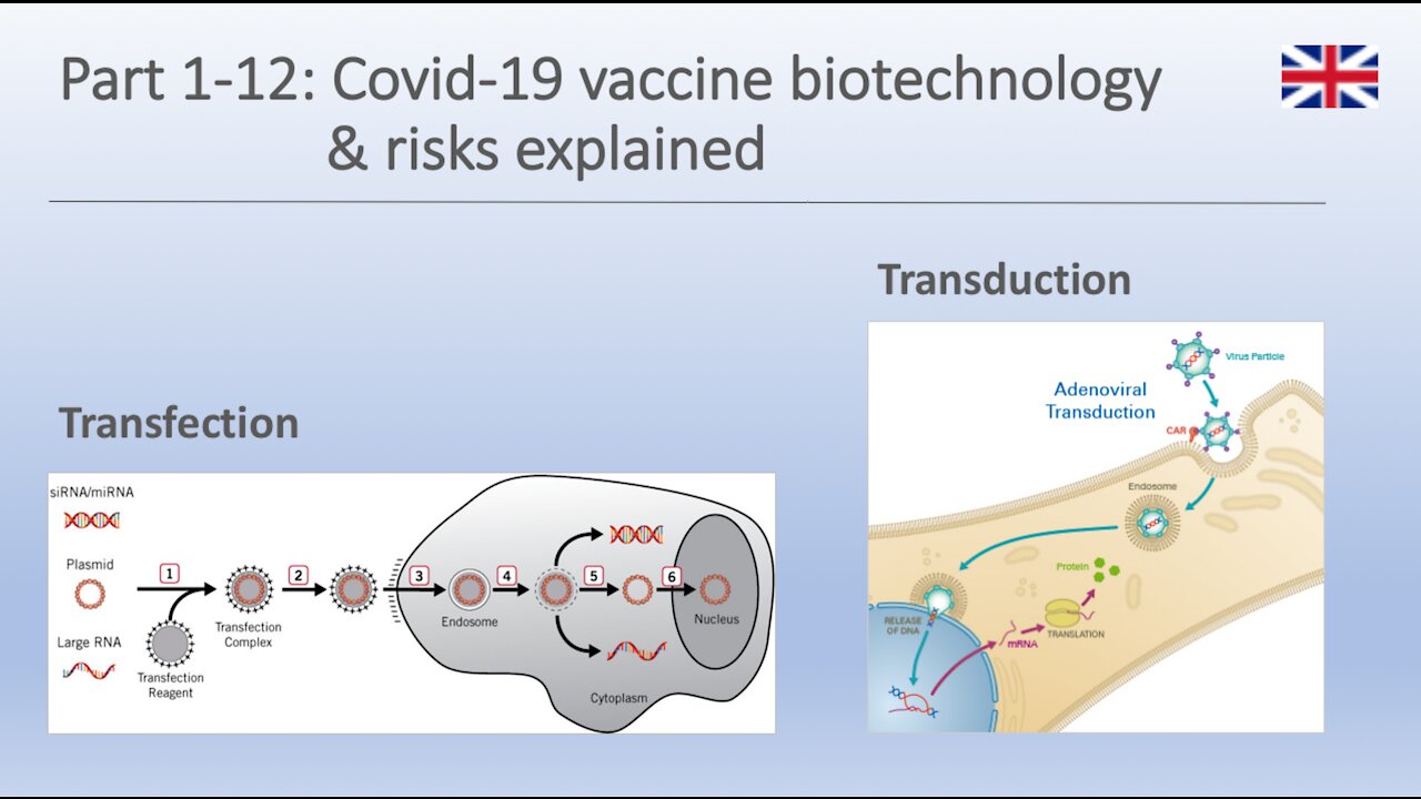 Part 1-12 Covid-19 vaccine biotechnology & risks explained