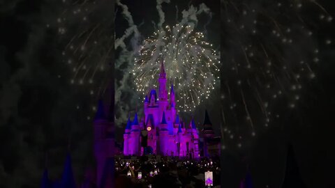 Disney's 4th of July!