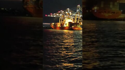 Break of dawn over the harbour.