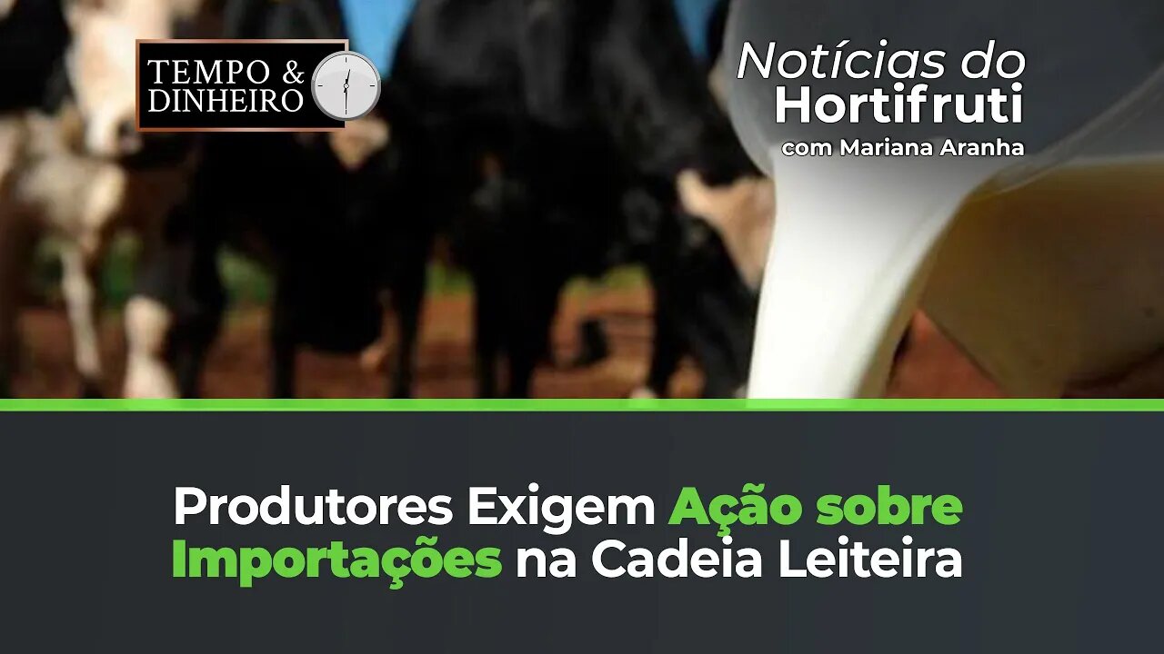 Produtores e entidades cobram medidas para a cadeira leiteira quanto às importações
