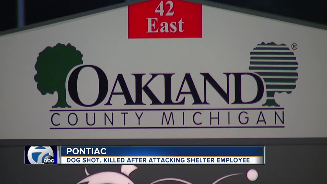 Dog shot, killed after attacking shelter employee in Pontiac