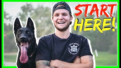 How To Train ANY DOG The Foundation- Dog Training Basics