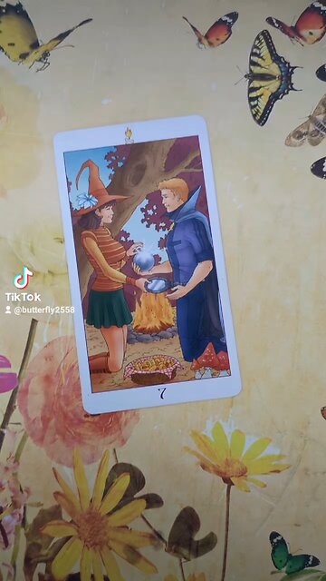 Butterfly Daily Tarot - contracts