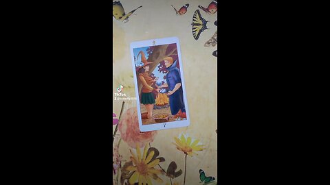 Butterfly Daily Tarot - contracts